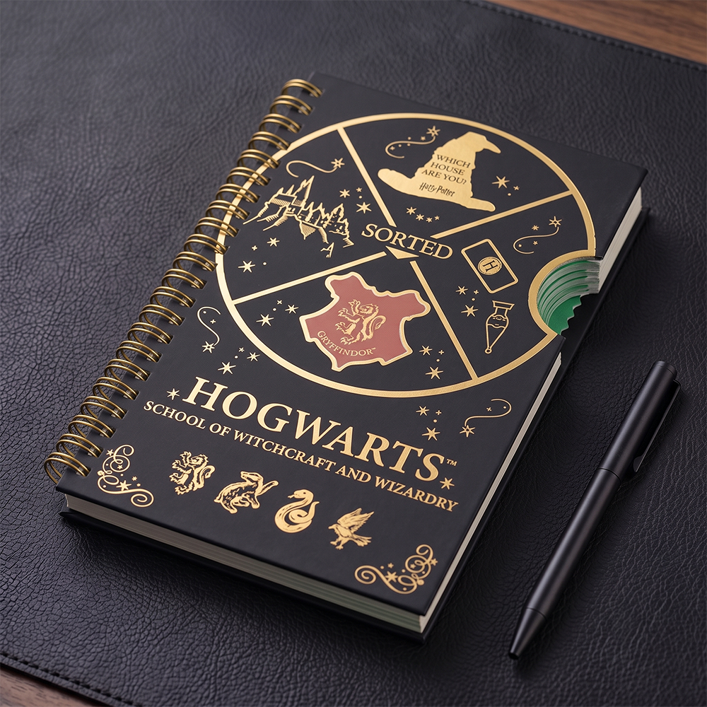 Mirada Harry Potter Hogwarts Fidget Notebook
