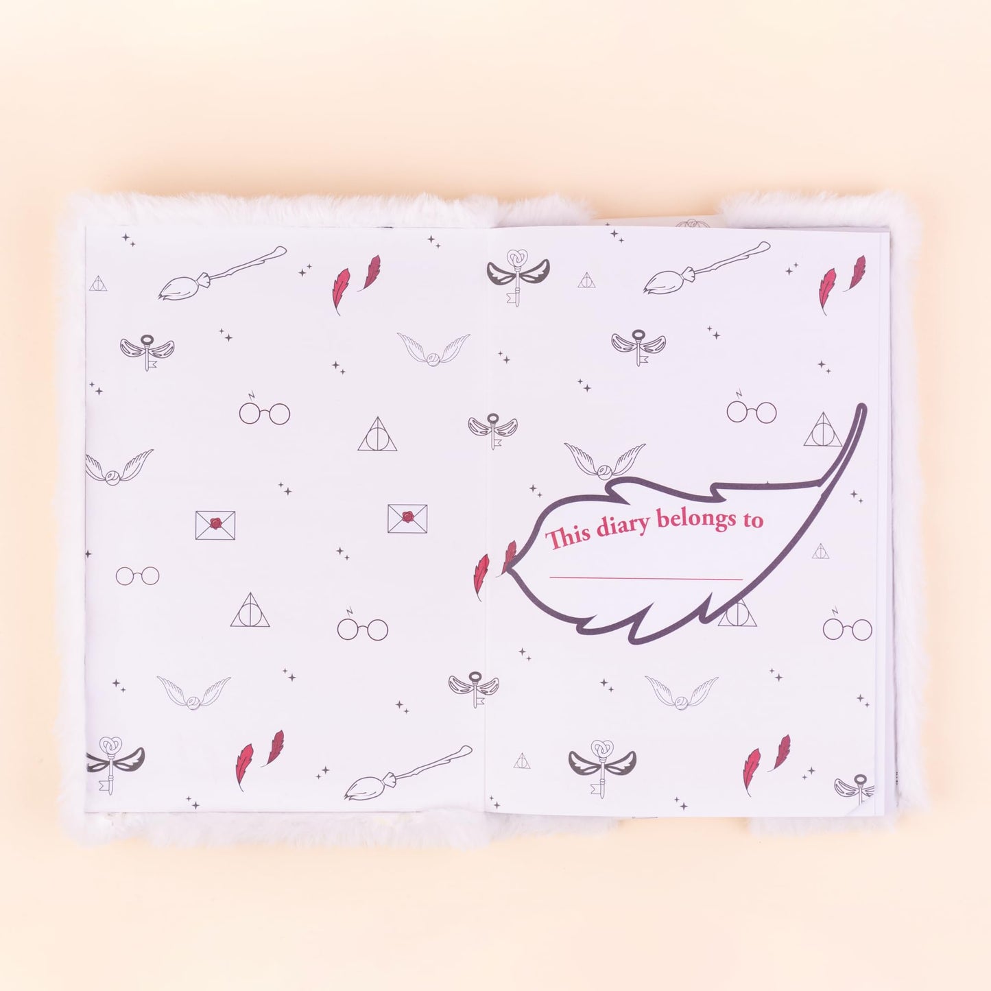 Mirada Harry Potter Magical Notebook