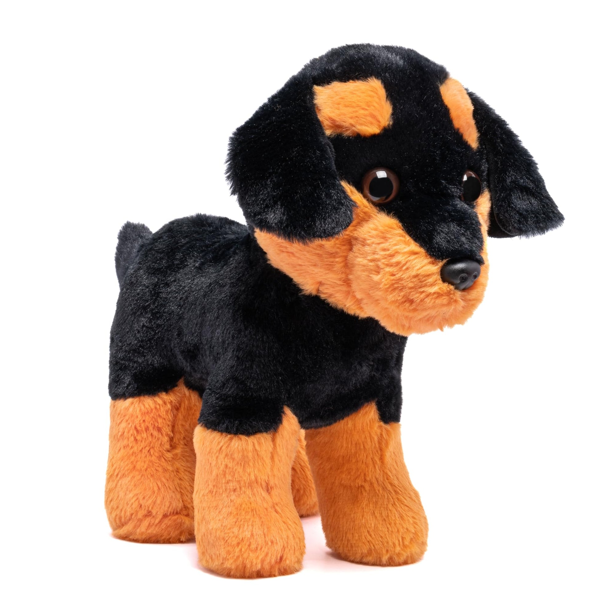 https://m.media-amazon.com/images/I/71BPrjPMjFL.jpg