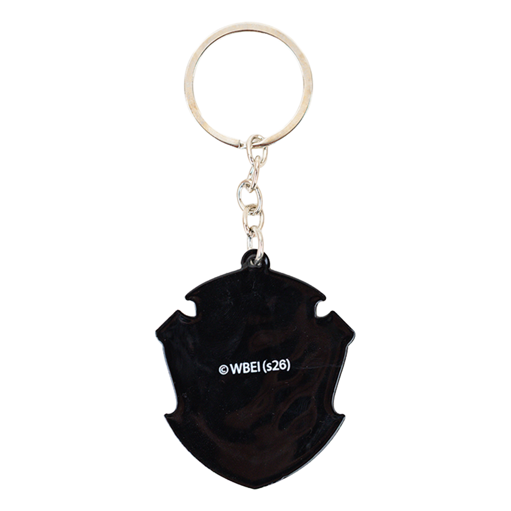 Mirada Harry Potter Slytherin 2D Rubber Keychain