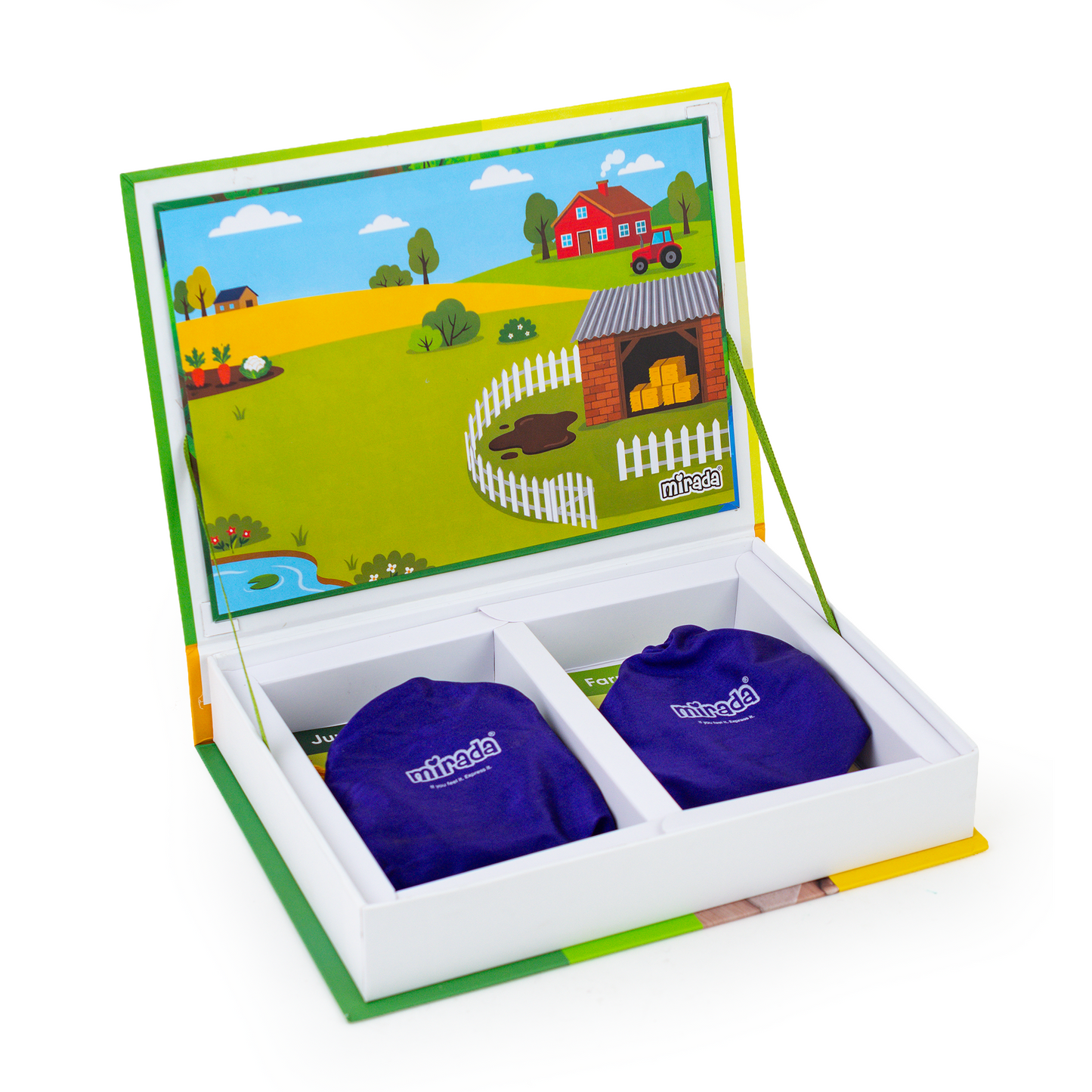 Mirada Magnetic Animal Book