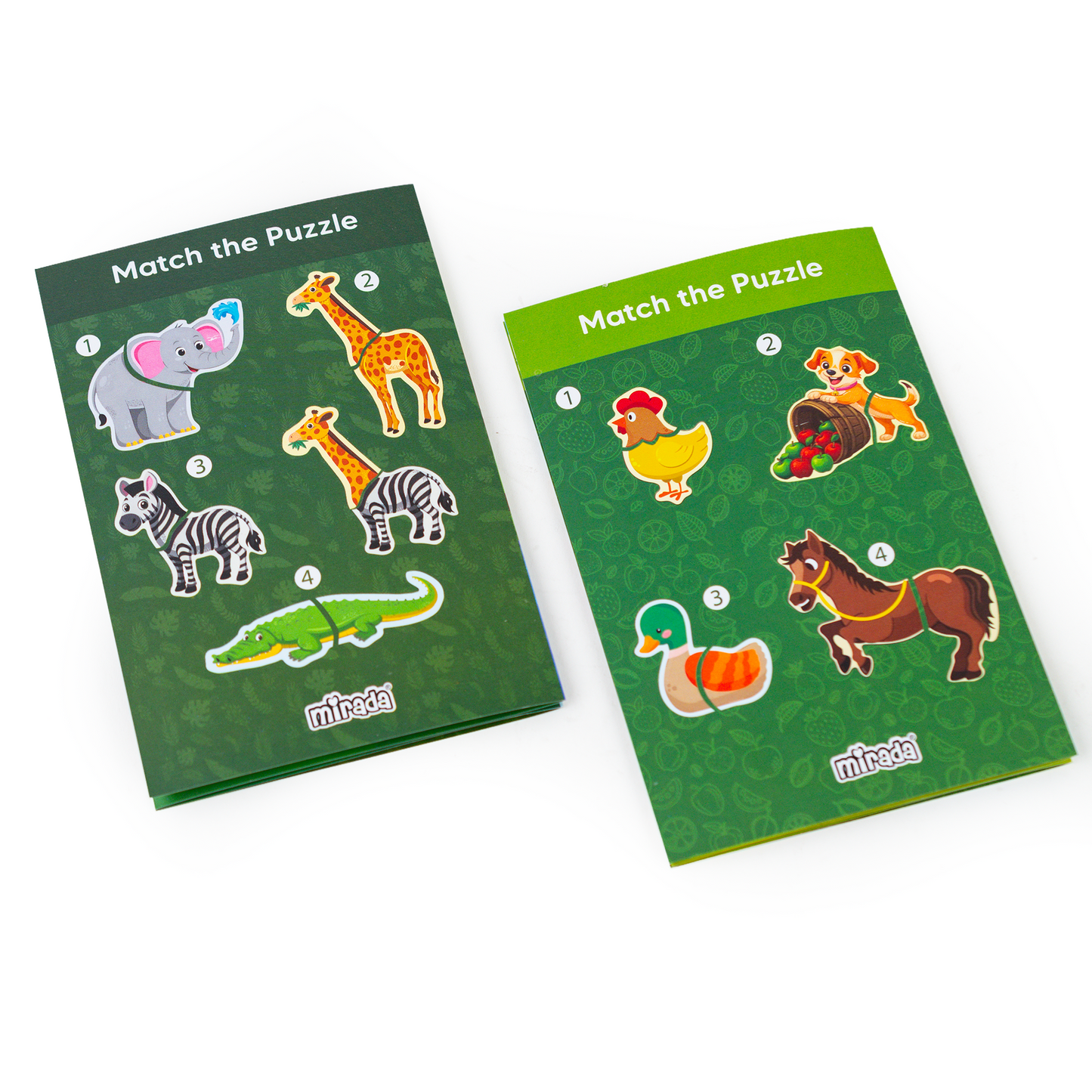 Mirada Magnetic Animal Book